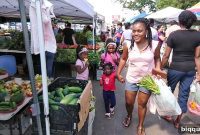 African Veggies American Soil My First Vlog