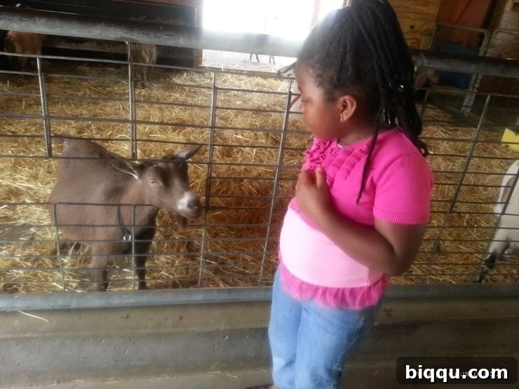 Girl number 1 looking scared near an animal