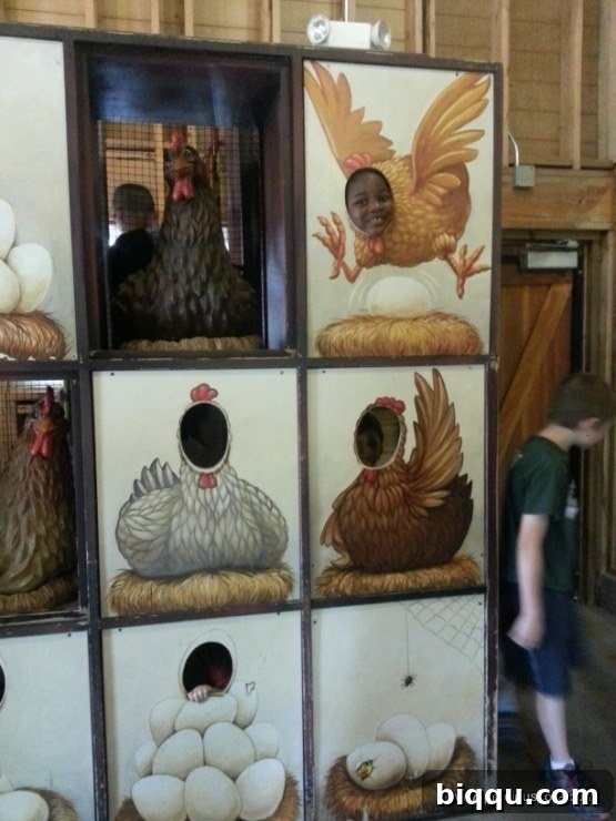 A family enjoying the animal farm