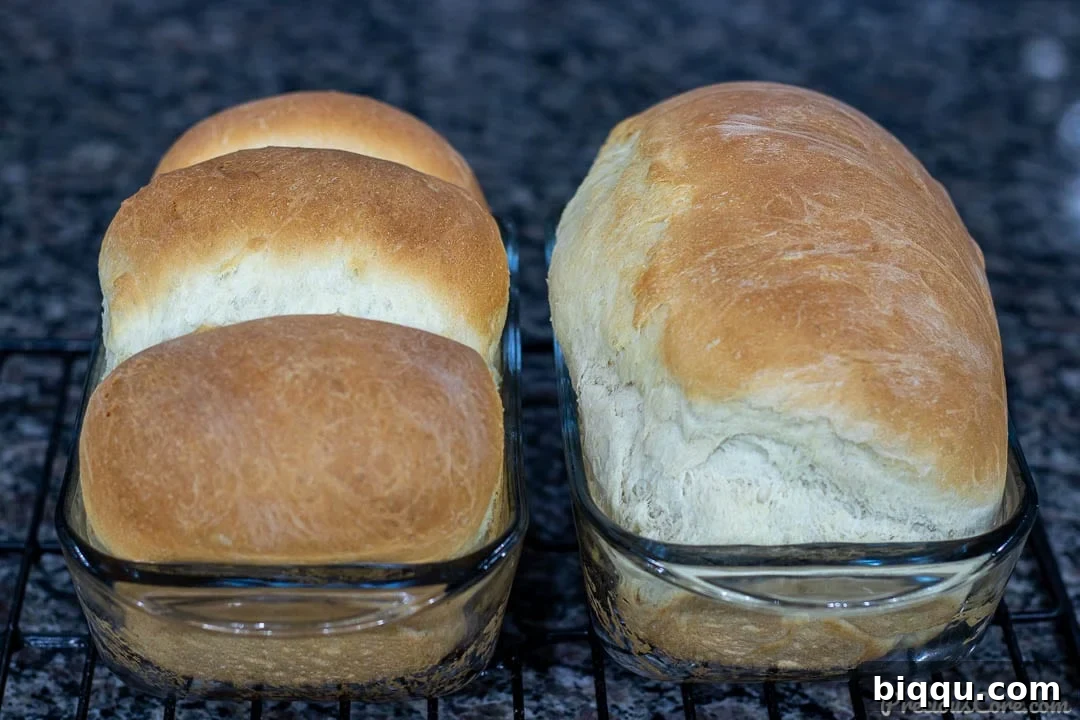 Perfect Everyday Sandwich Bread 3 2 loaves of bread in glass loaf pans made with the Easy Sandwich Bread Recipe.