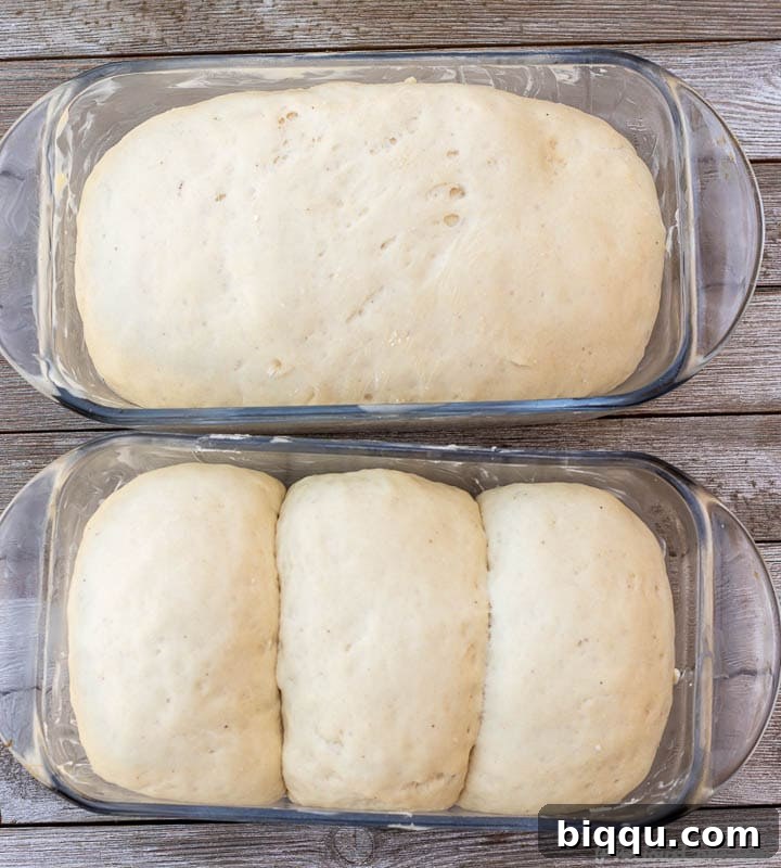 Perfect Everyday Sandwich Bread 8 dough in loaf pans