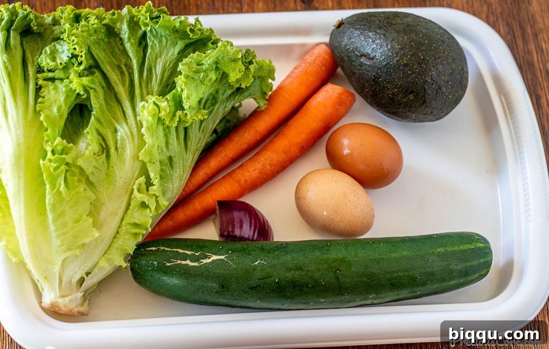 A tray filled with pristine green leaf lettuce, vibrant carrots, crisp cucumber, creamy avocado, and perfectly hard-boiled eggs, all prepped for the salad.