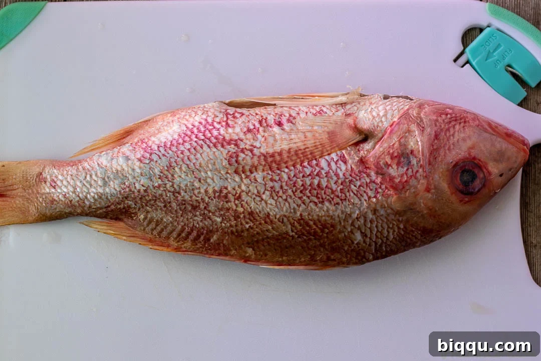 Golden Oven Grilled Whole Red Snapper 4 Raw whole red snapper displayed on a chopping board, ready for preparation