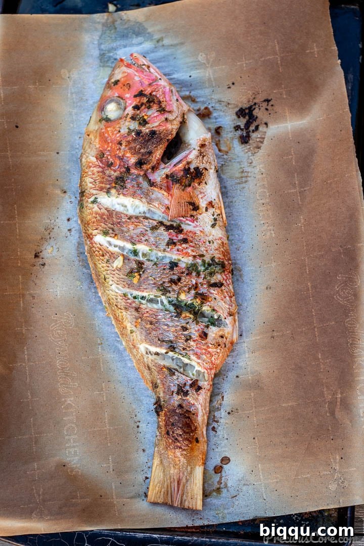 Golden Oven Grilled Whole Red Snapper 8 Freshly oven-grilled red snapper on a baking sheet, showcasing crispy skin and perfect color