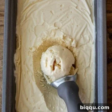 Vanilla ice cream in a load pan with scoop on top