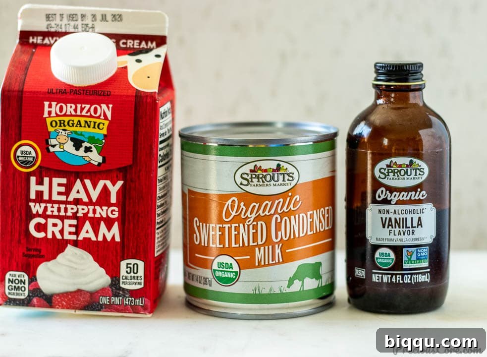 Three essential ingredients for homemade vanilla ice cream: heavy whipping cream, sweetened condensed milk, and vanilla extract.