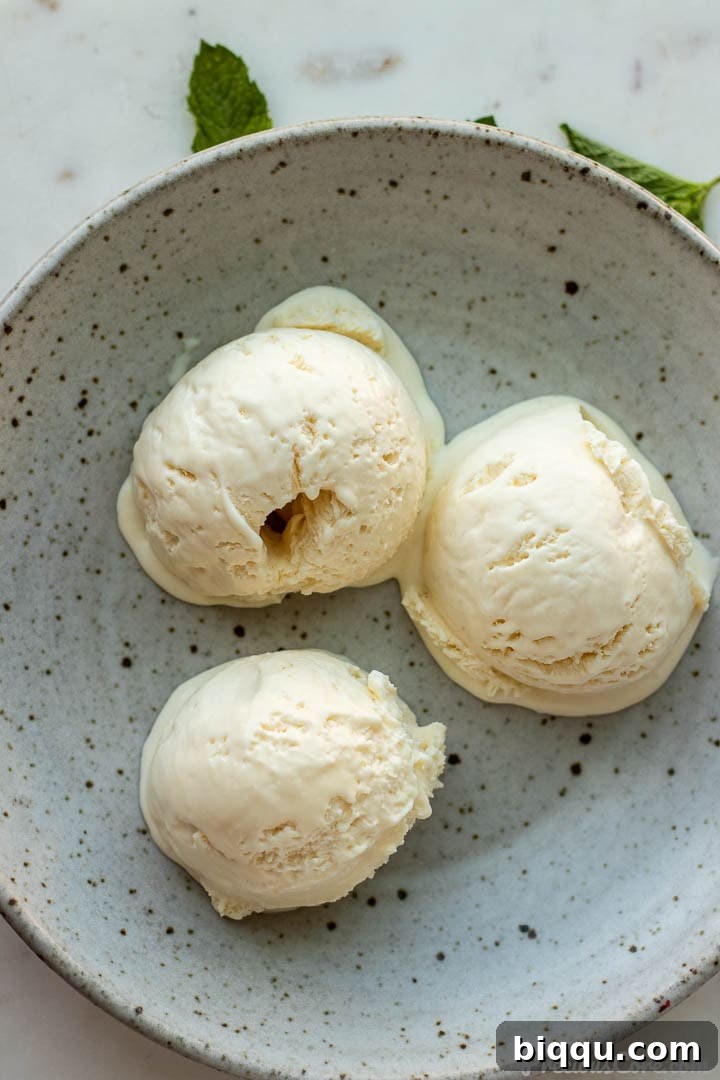 Three perfect scoops of homemade vanilla ice cream in a white bowl, garnished with a sprig of mint.