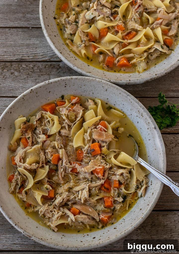 Two steaming bowls of quick chicken noodle soup, garnished with fresh herbs, ready to be enjoyed