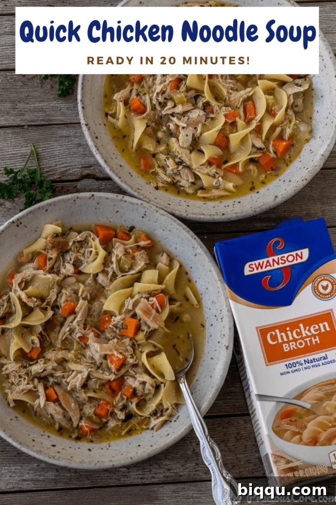 Quick chicken noodle soup gracefully presented in two elegant bowls, highlighting its fresh ingredients and comforting, inviting appeal