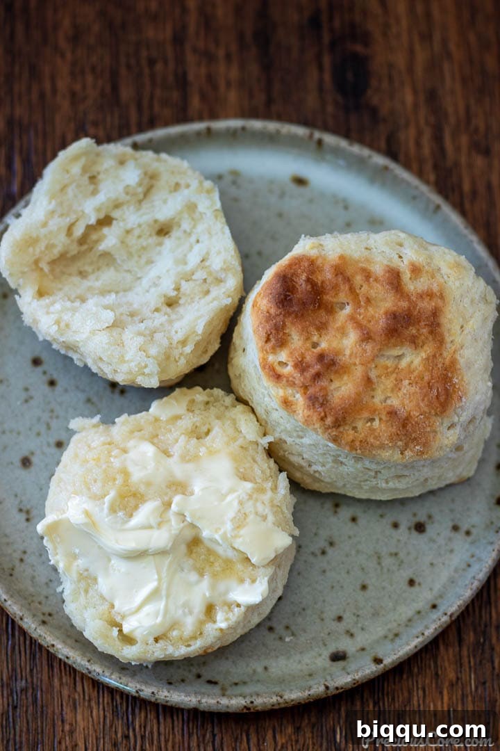 Close-up of a cream cheese biscuit, split open and buttered, ready to be eaten.