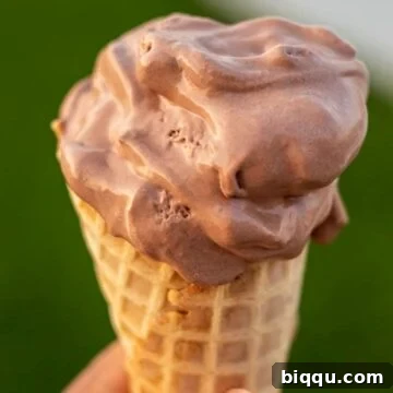 Homemade chocolate ice cream in a cone