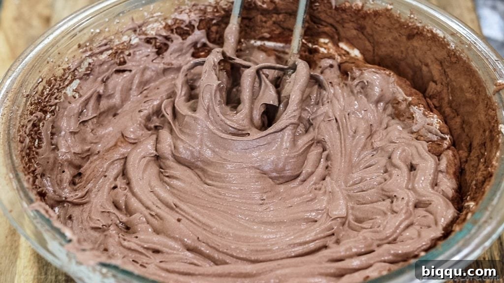 The smooth, creamy chocolate ice cream mixture ready for freezing