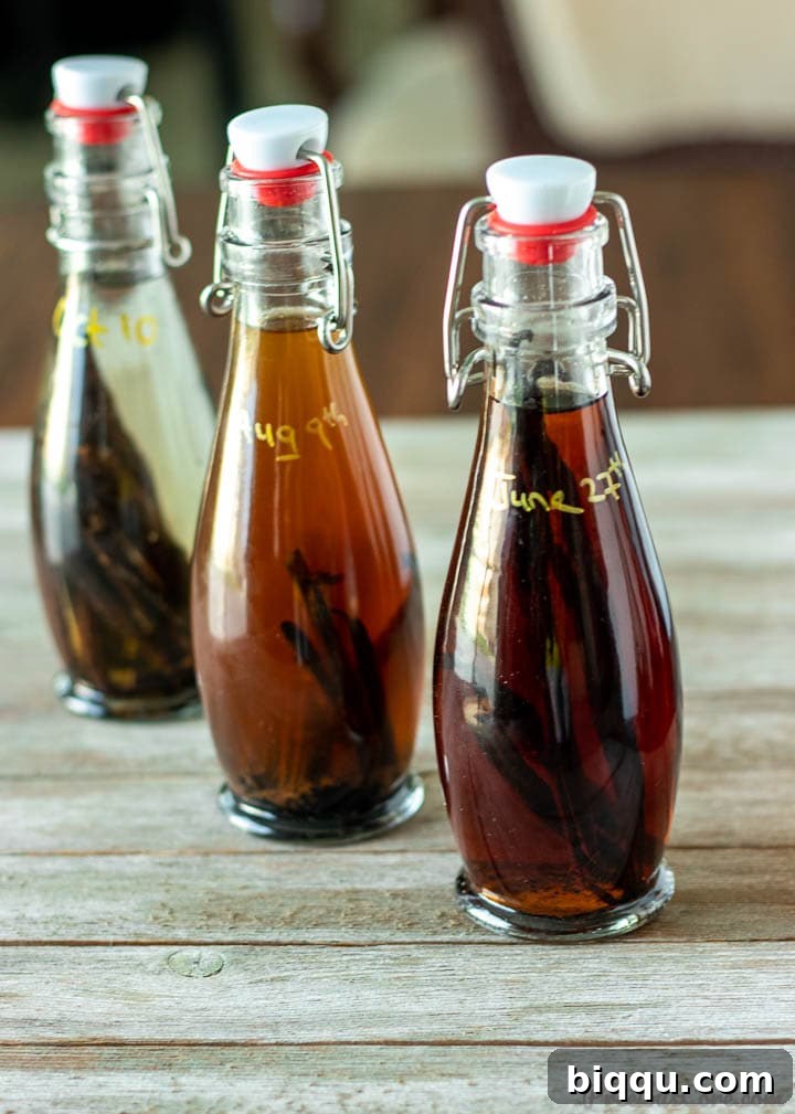 Four distinct bottles of homemade vanilla extract, some with labels