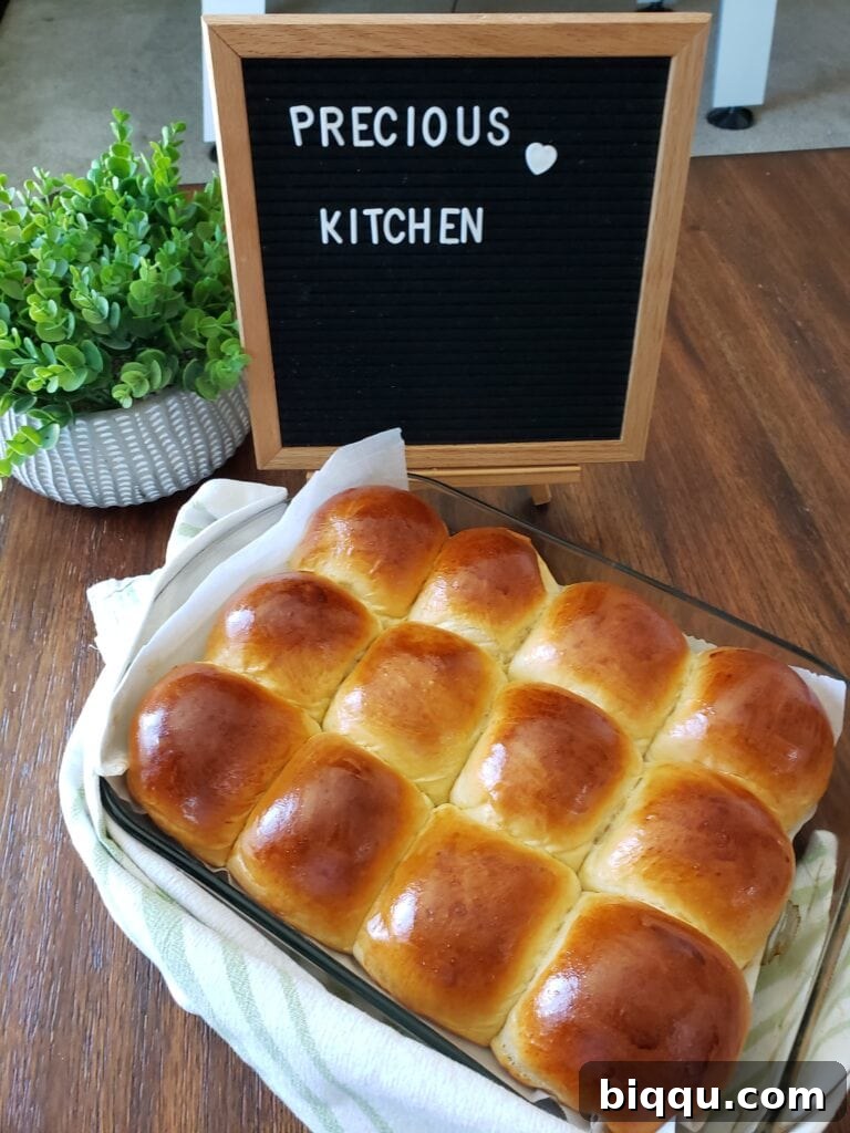 Dinner Rolls in Pan