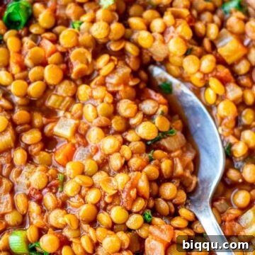Spoon digging into a bowl of Lentil Stew.