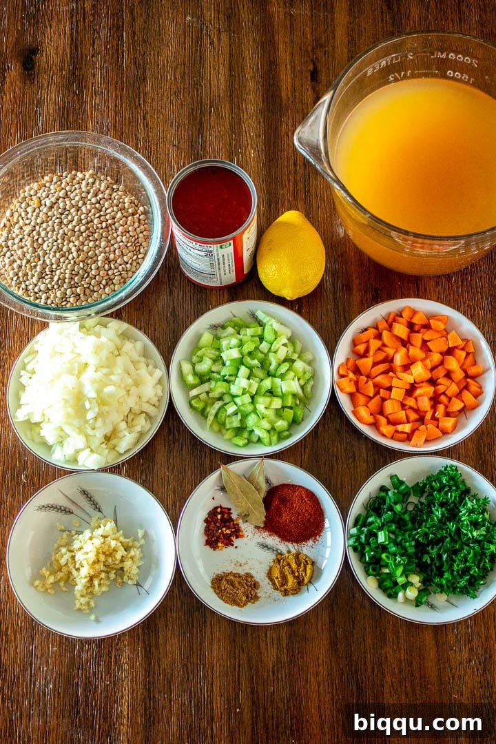A vibrant assortment of fresh ingredients for Lentil Stew laid out on a table, including onions, garlic, carrots, celery, lentils, and spices.