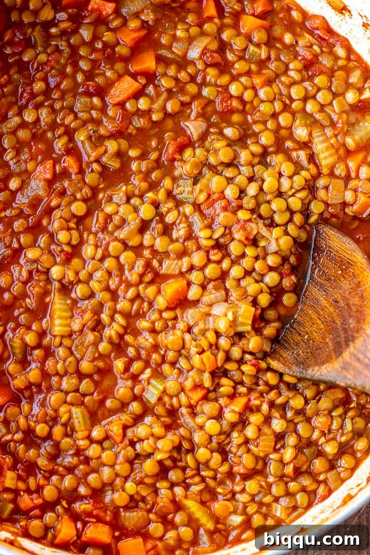 The fully cooked Lentil Stew resting in the pot, its rich color and thick consistency promising a hearty meal.