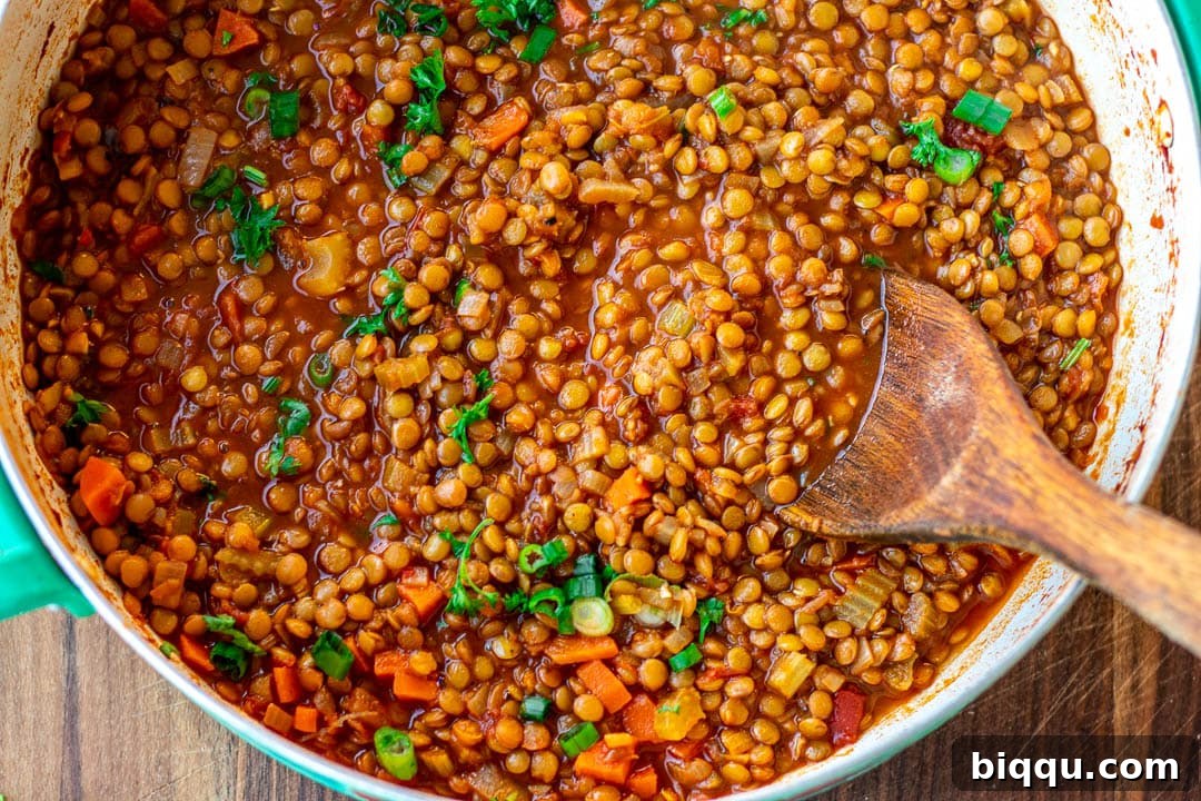 A stunning landscape shot of a garnished bowl of Lentil Stew, rich in color and texture.