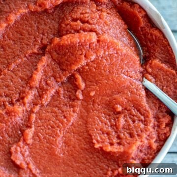 Big bowl of rich red homemade tomato paste