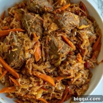 Bowl of Cabbage and Beef Stew, ready to be served