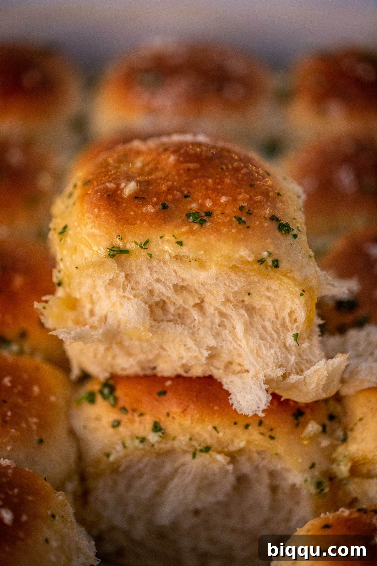 A single dinner roll pulled apart to reveal its soft, fluffy interior texture.