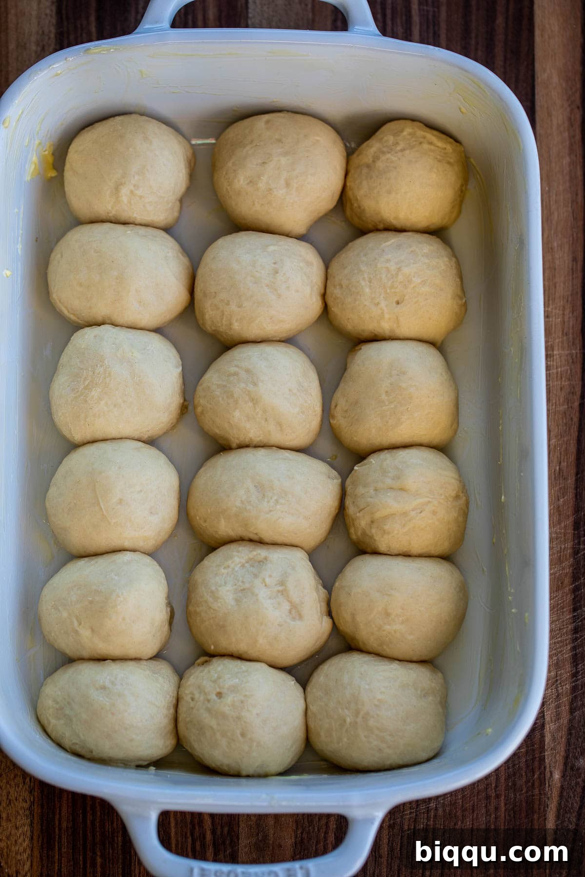 Shaped dinner rolls neatly arranged in a greased baking dish.