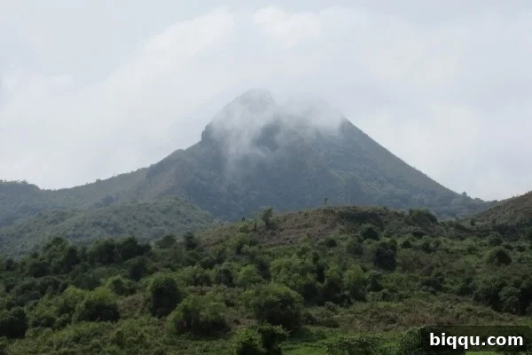 Lush green landscape of Mount Manengouba in Cameroon.