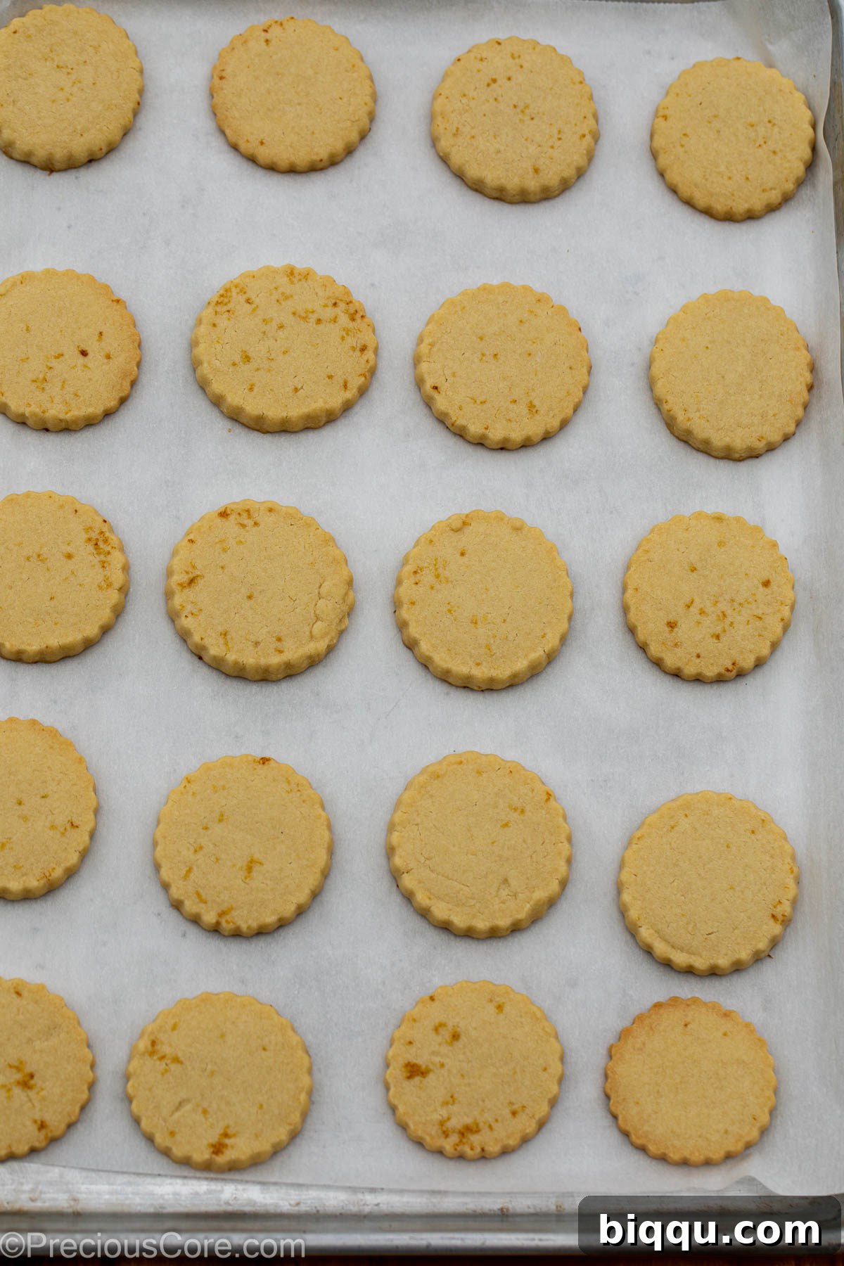 Freshly baked lemon shortbread cookies, golden brown at the edges, cooling on a baking sheet.