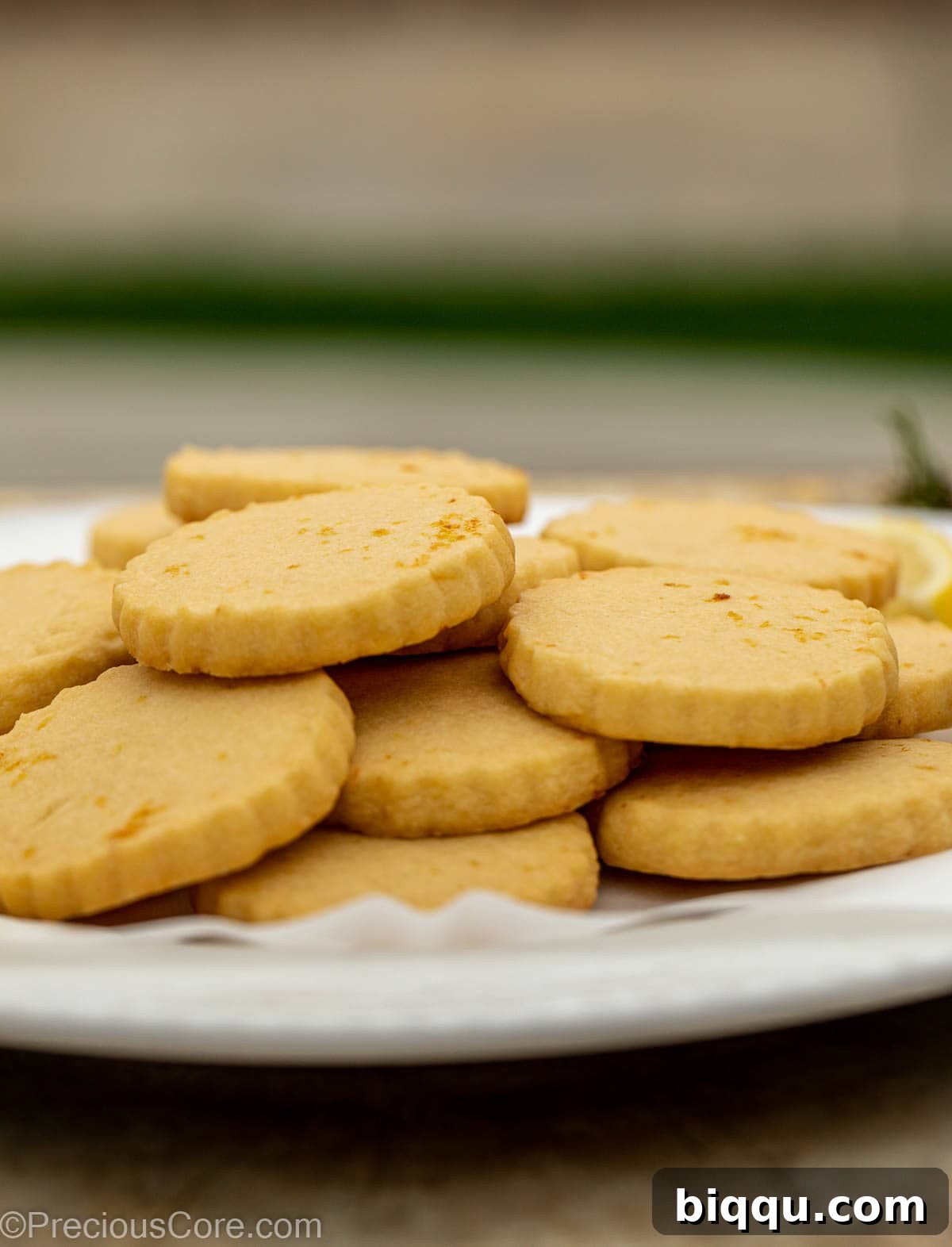 A charming plate of beautifully arranged lemon shortbread cookies, ready to be served.