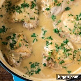 Chicken in a luscious white sauce, presented in an elegant cast iron braiser, highlighting its creamy texture and gourmet appeal.