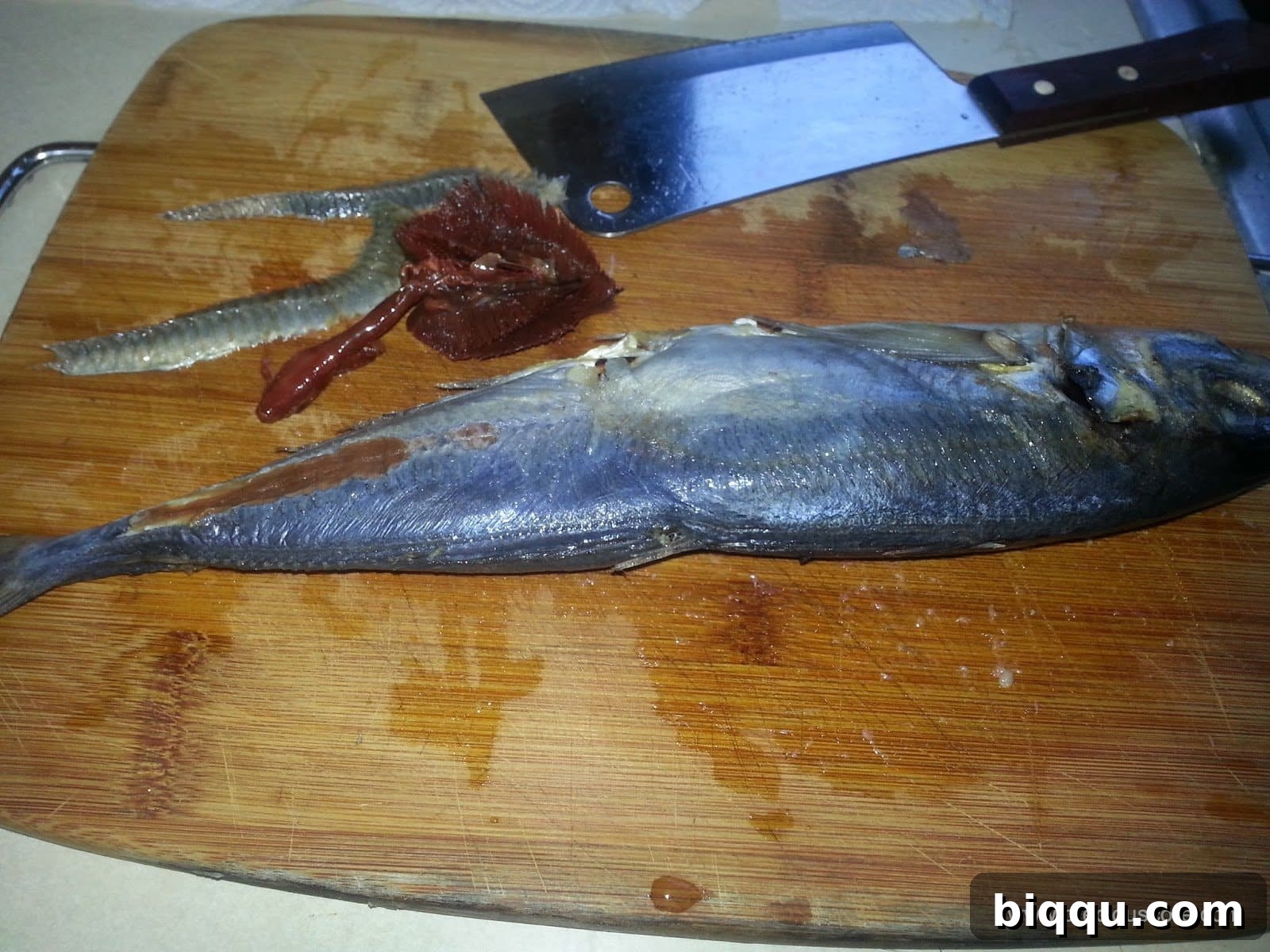 Gills removed from the fish head.