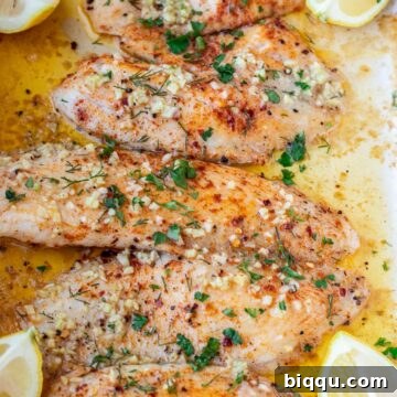 Four baked tilapia fillets glistening with garlic butter in a baking pan, garnished with fresh parsley.