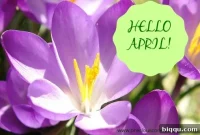 Awakening April
