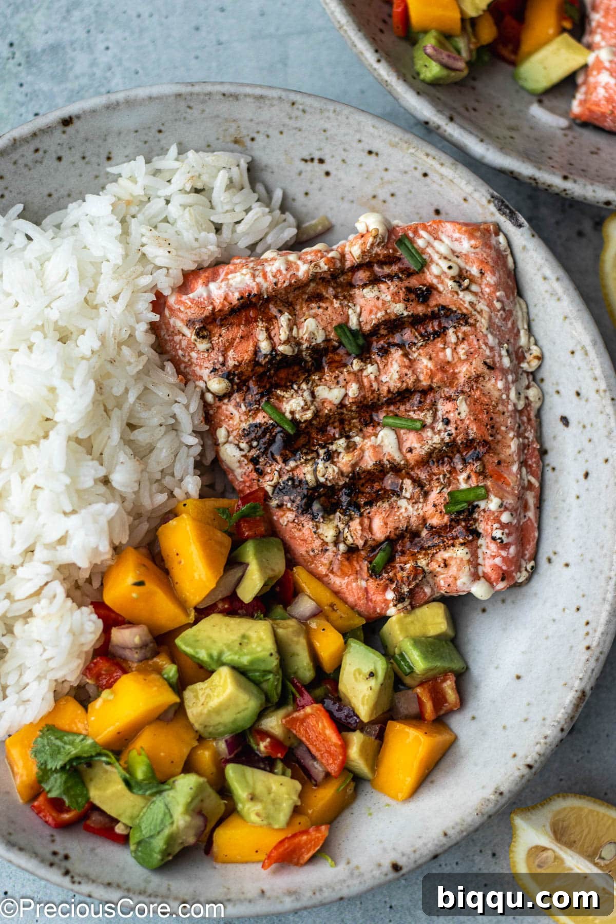 A beautifully plated bowl featuring tender grilled salmon alongside fluffy rice, garnished for a perfect meal.