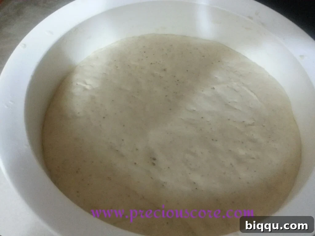 Deflated dough shaped into a rectangle and placed into a greased loaf pan