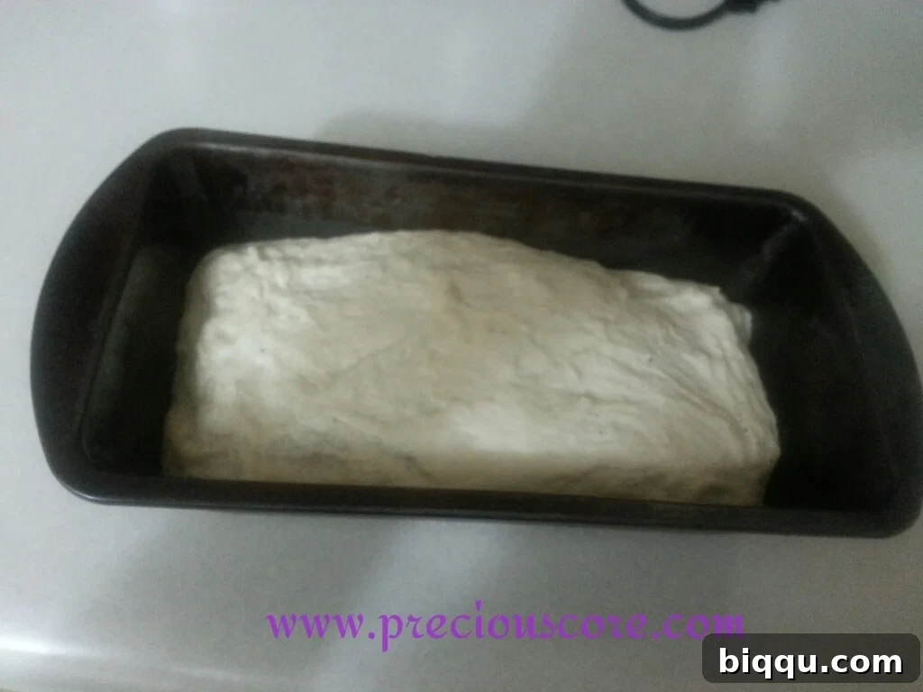Bread dough rising for the second time in a loaf pan, showing significant puffiness