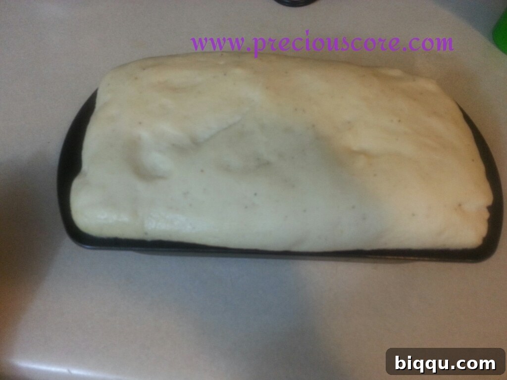 Fully risen bread dough in a loaf pan, perfectly proofed and ready for baking