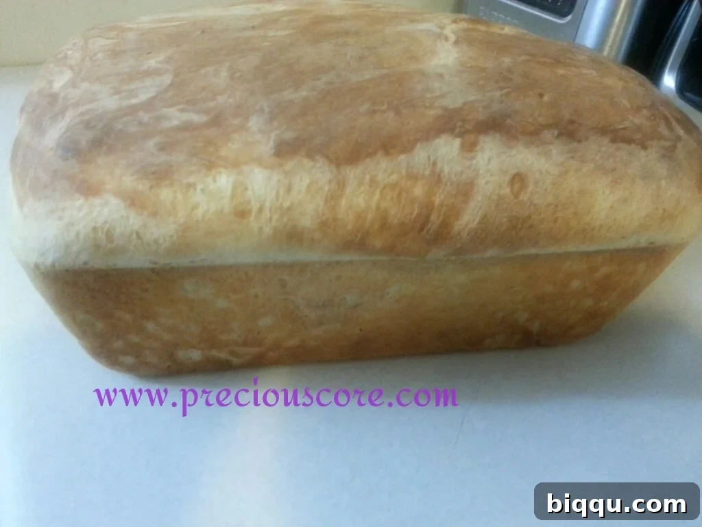 Hands kneading bread dough on a floured surface, demonstrating the bread-making process