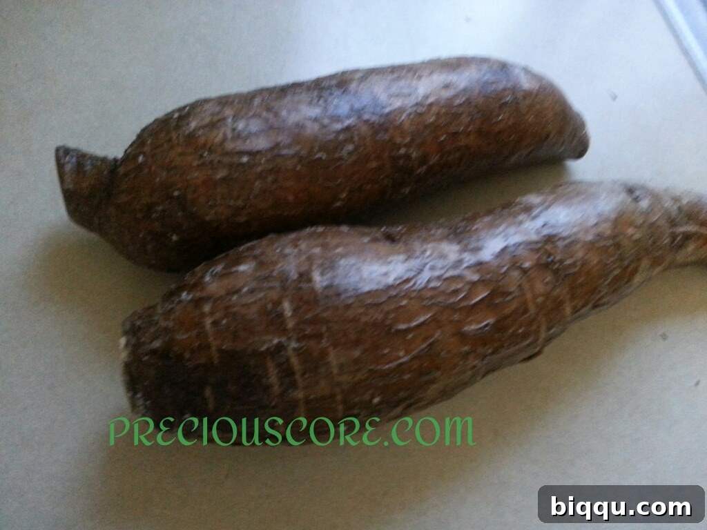 Fresh cassava root, also known as yuca, a key ingredient in traditional African cooking