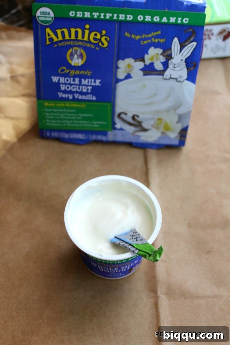 Organic Yogurt in a bowl with spoon and fresh fruit