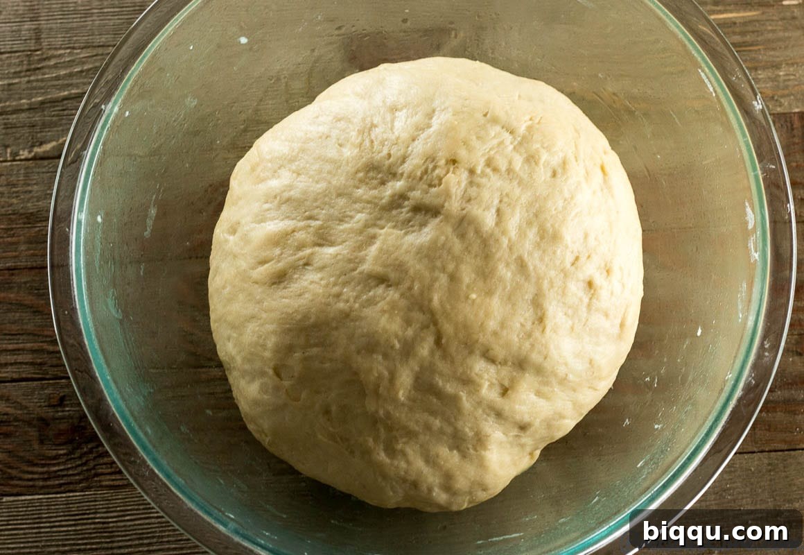 Sweet dinner roll dough after its first rise, significantly expanded in a bowl.