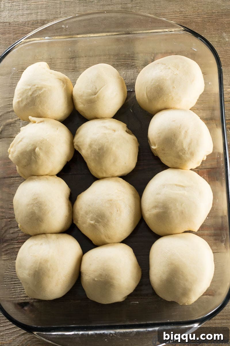 Sweet dinner rolls after the second rise, now plump and touching each other in the baking pan, ready for the oven.