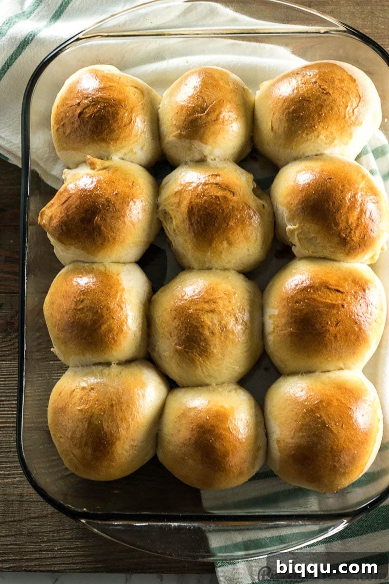 Close-up of freshly baked homemade sweet dinner rolls in a baking dish, glistening with a golden crust.
