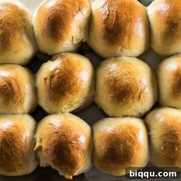 Sweet Dinner Rolls in baking pan, ready to be served.