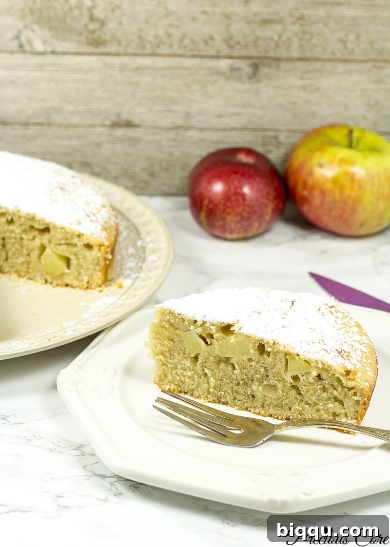 A delectable slice of old fashioned fresh apple cake, showing its moist texture and apple chunks.