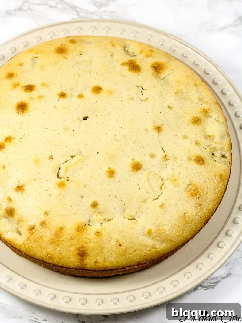 A perfectly baked apple cake removed from the oven and resting on a plate.