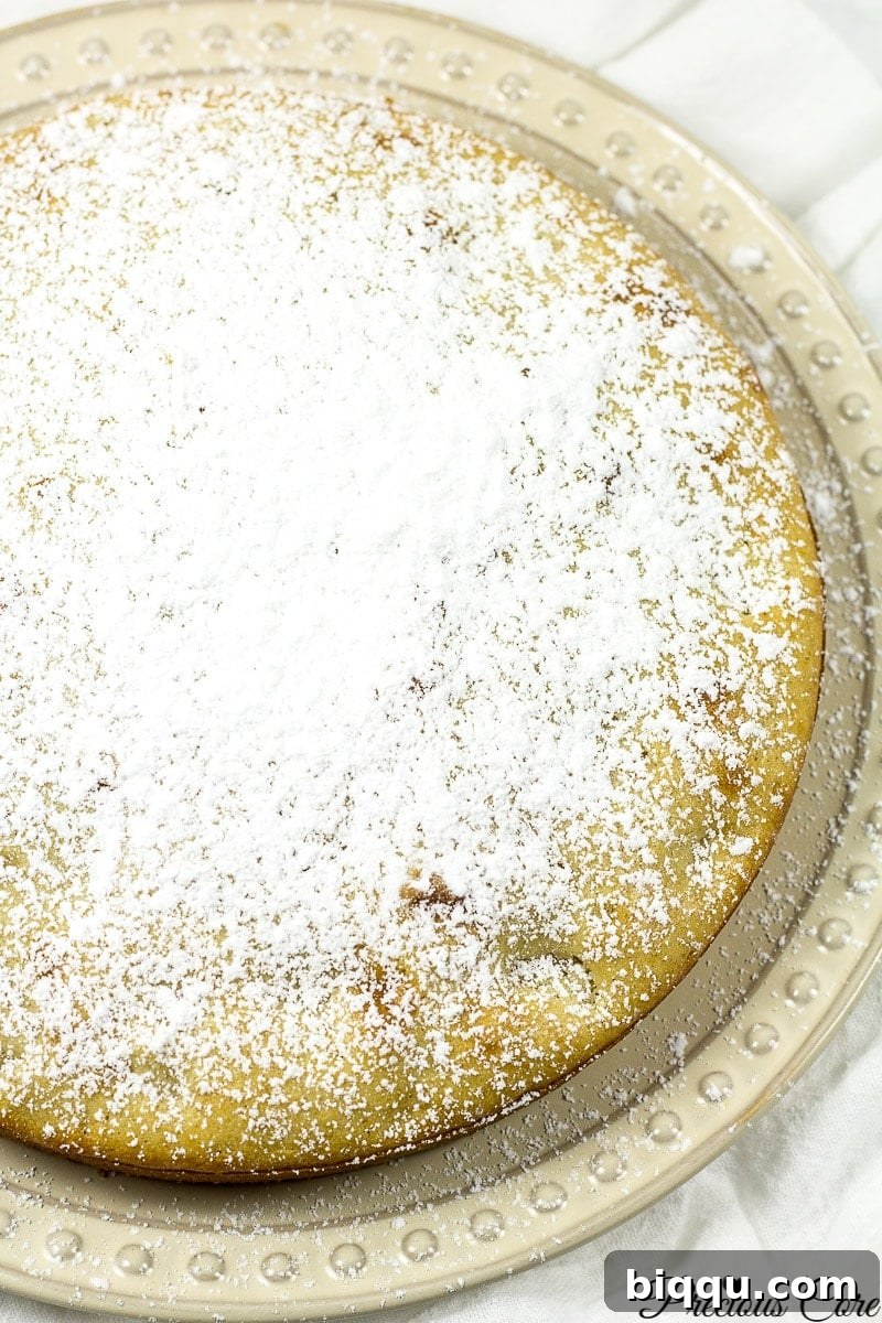 Old fashioned fresh apple cake beautifully dusted with powdered sugar.