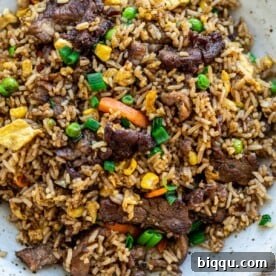 A vibrant bowl of steak fried rice, garnished and ready to be enjoyed.