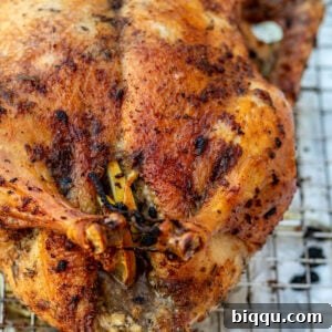 Square image of a perfectly roasted duck with herbs, golden and crispy.