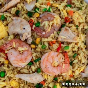 Shrimp and chicken fried rice in a white dish, artfully presented.